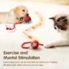 Interactive Cat Ball Toy with Automatic Rolling Tail & Rechargeable Smart Mouse